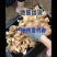 【江苏大黄姜】小黄姜/老姜品种齐全量大从优全国发货