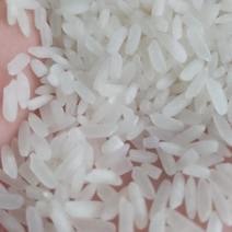 长粒香大米厂家货源质量物美价廉欢迎各位老板合作