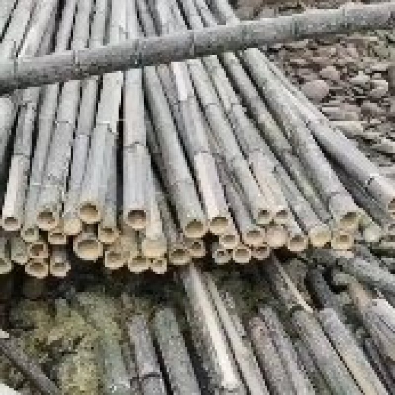 4-7公分楠竹，长3-5米楠竹，规格齐全，三年竹头