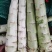 莴笋杆子，电商美团正车接单