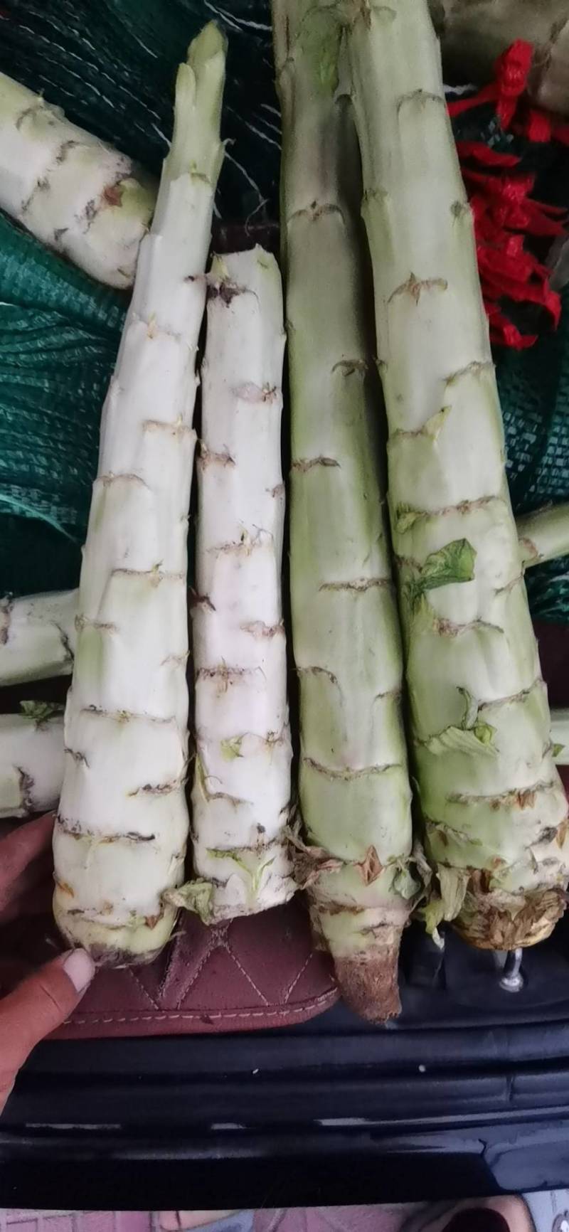 莴笋杆子，电商美团正车接单