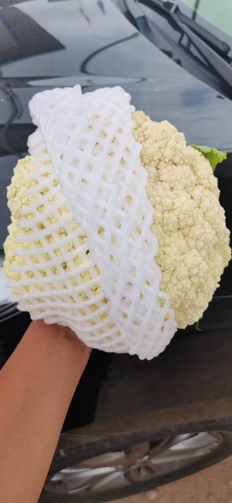 小米粒青梗散花