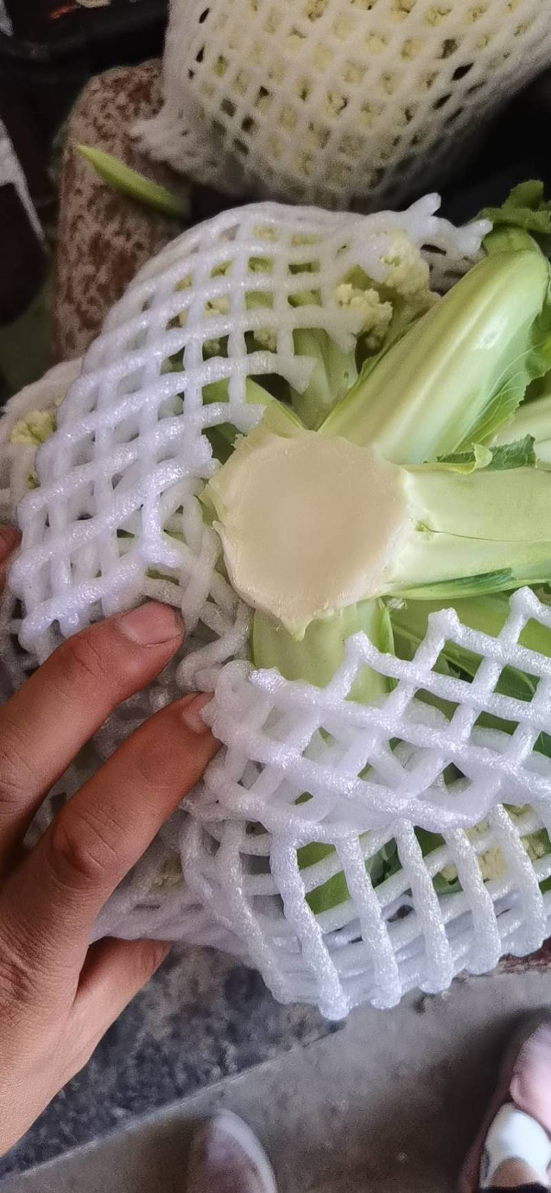 小米粒青梗散花