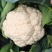 小米粒青梗散花