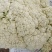 小米粒青梗散花