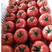 西红柿，大红，硬粉西红柿大量供应，品质好，价格优惠。