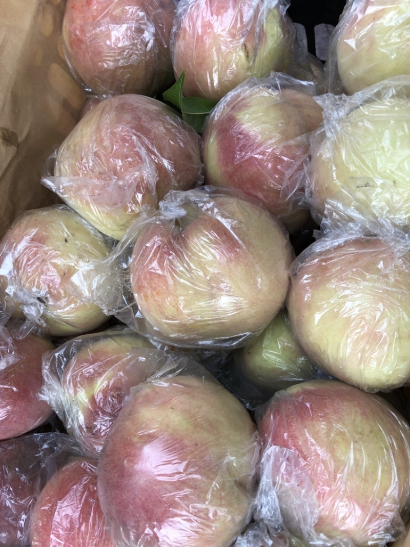 红不软4两起，专供团购平台供应商，包过品控，利润高