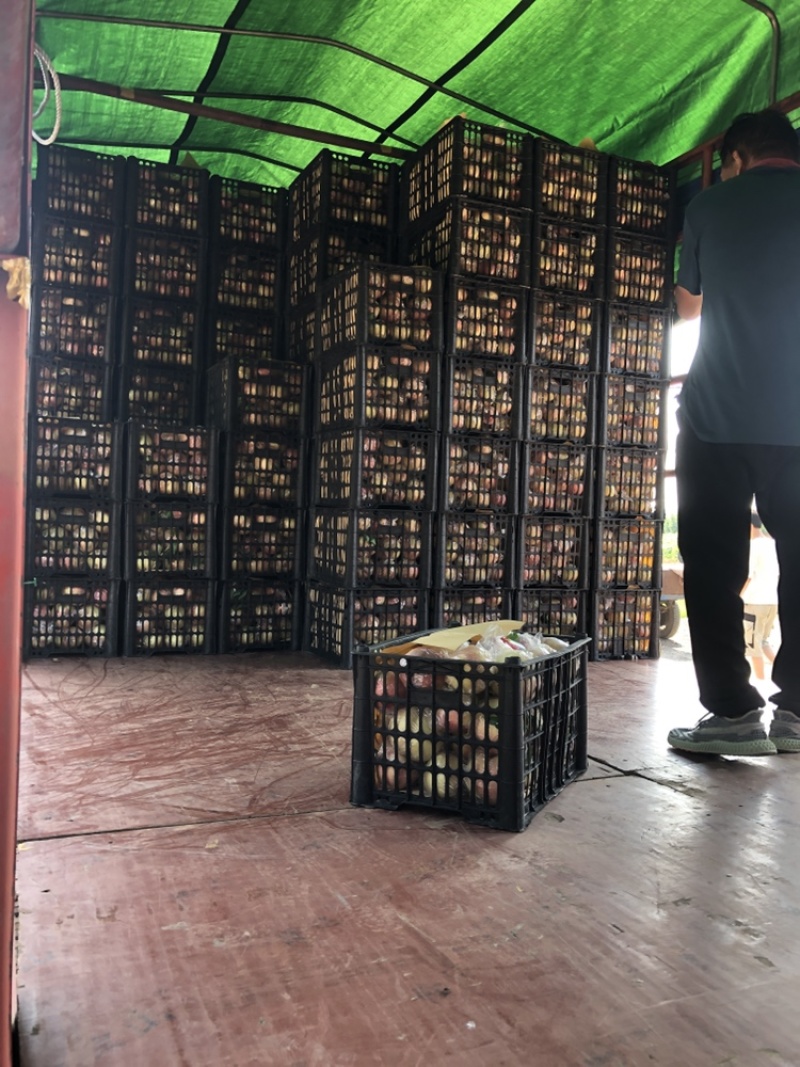 红不软4两起，专供团购平台供应商，包过品控，利润高