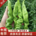 甘肃定西螺丝椒.精品辣椒大量批发.辣椒上市
