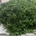 甘肃定西螺丝椒.精品辣椒大量批发.辣椒上市