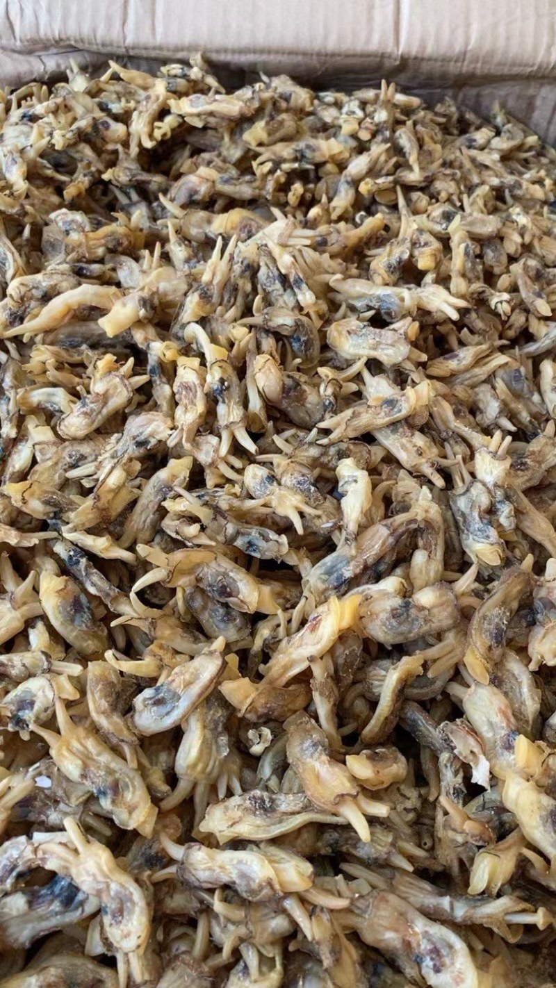 海蛏干蛏干蛏子青马青子竹蛏缢蛏
