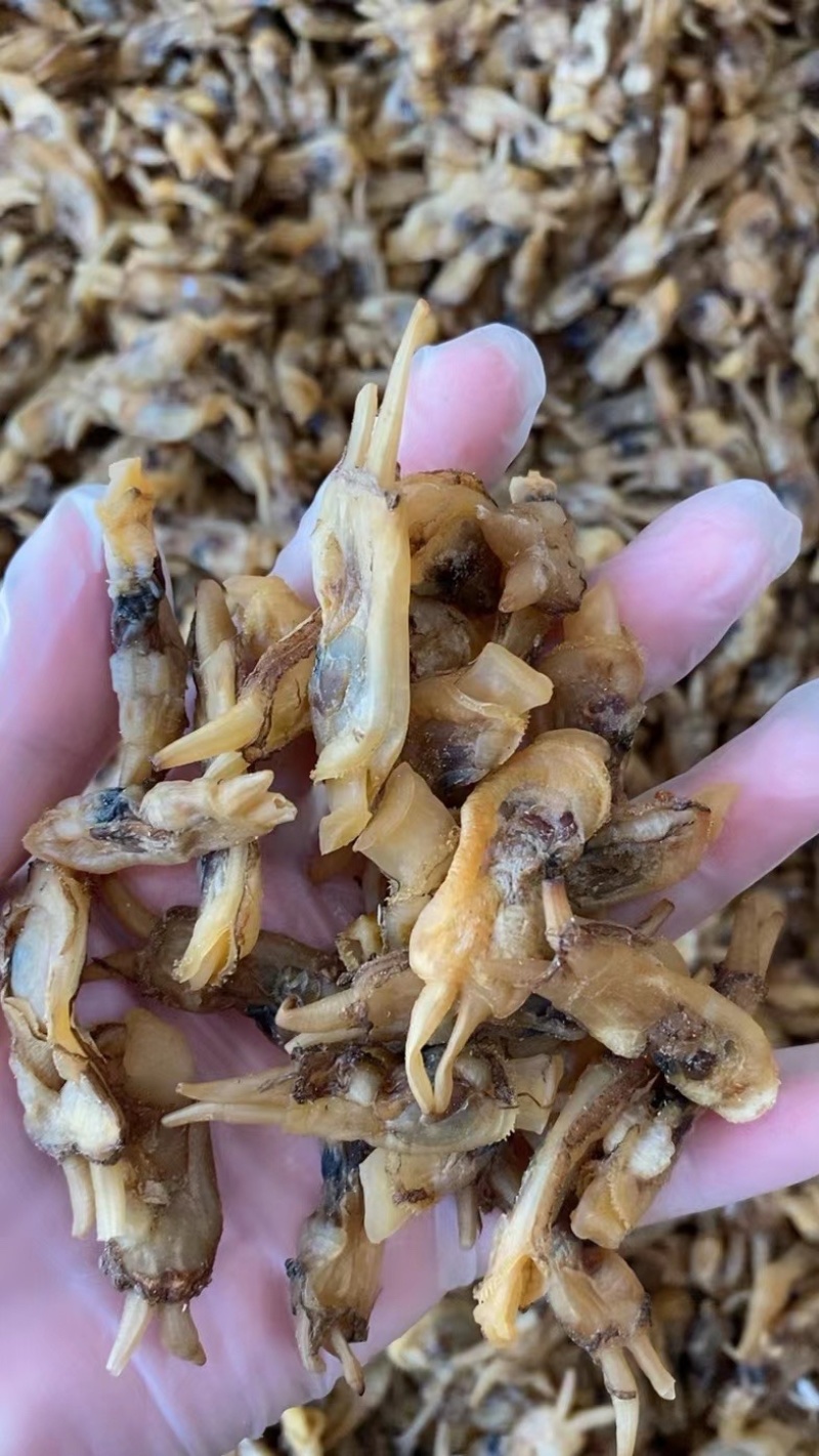 海蛏干蛏干蛏子青马青子竹蛏缢蛏