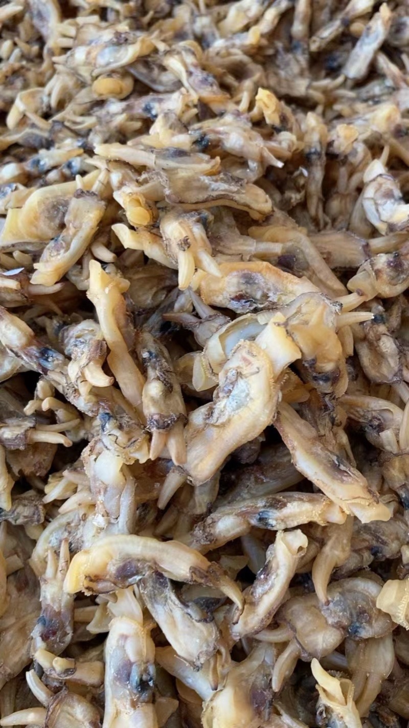 海蛏干蛏干蛏子青马青子竹蛏缢蛏