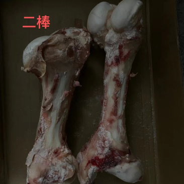 牛骨头羊汤馆必备