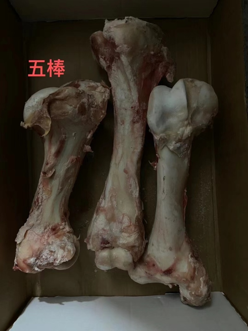牛骨头羊汤馆必备