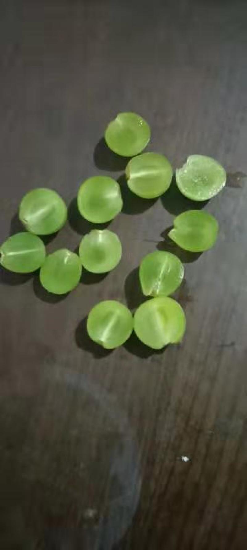 罐头葡萄