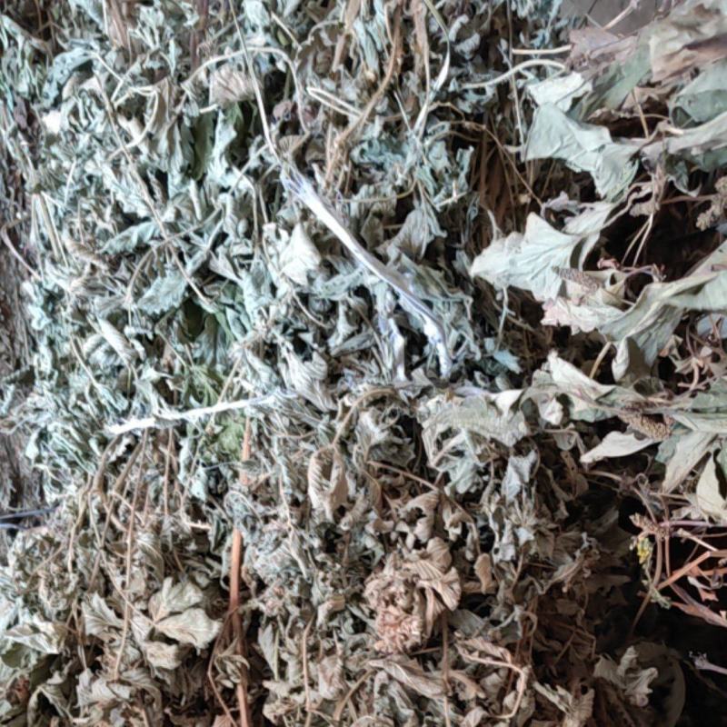 仙鹤草