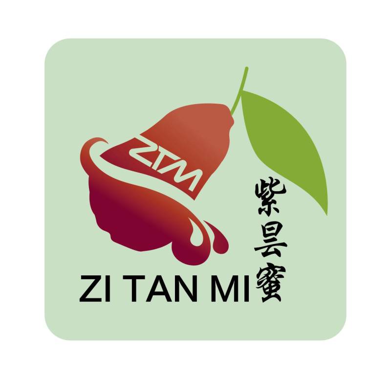 紫昙蜜莲雾（黑糖芭比），一件代发，个大，脆甜，无渣。