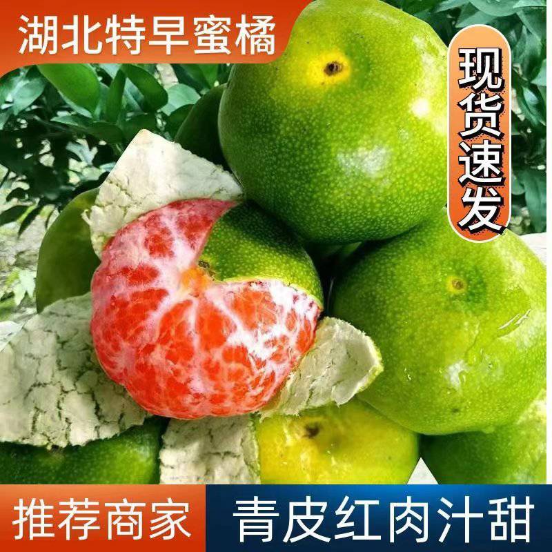 云南特早蜜橘皮薄味甜产地直供欢迎咨询！