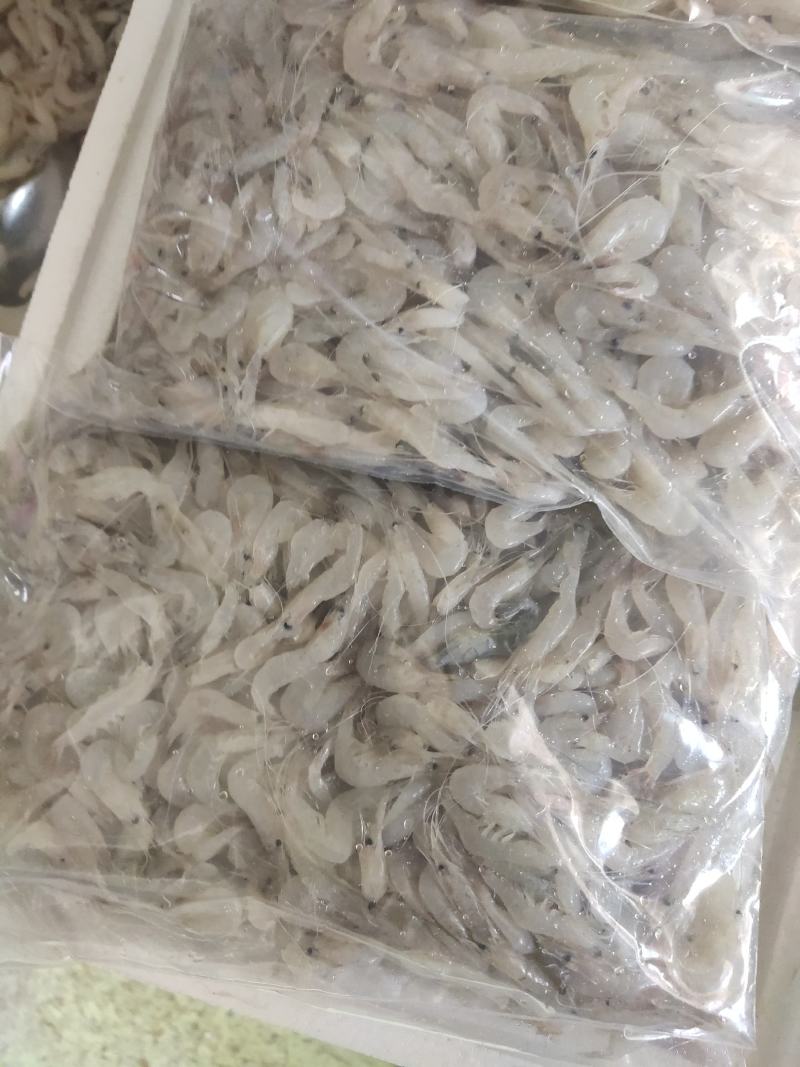 鲜活冷冻白米虾板冻秀丽白虾2-3公分白河虾