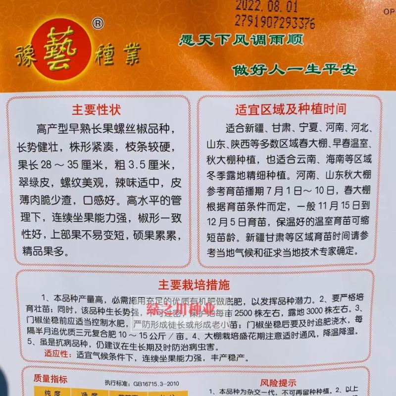 西北旅33早熟大果螺丝椒种子特高产长果螺丝辣椒种子抗病