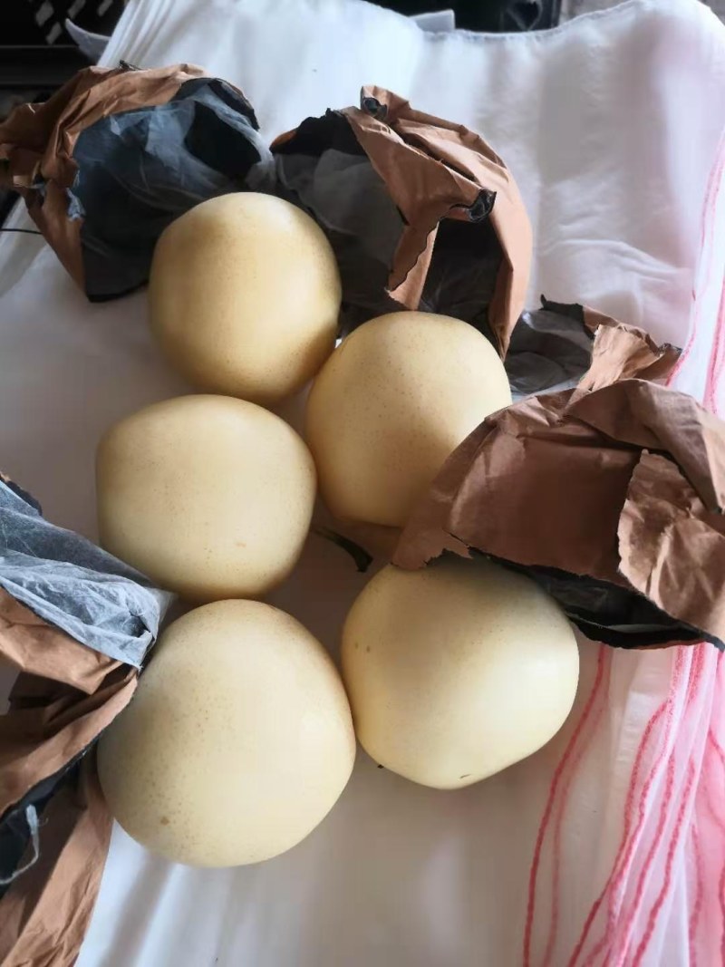 精品皇冠梨