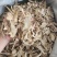 当归全当归无硫纯干新货无杂甘肃产地一手货源大量供应