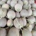 晓蜜25