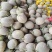 晓蜜25