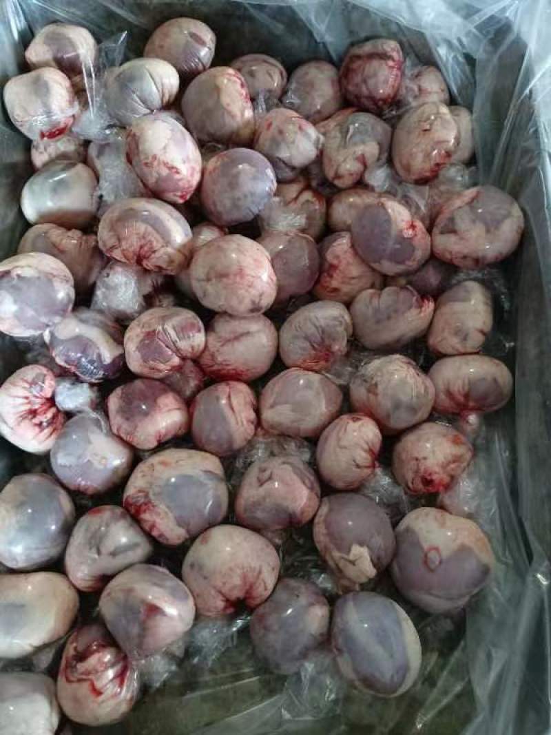 正宗宁夏原油羊腰子。非油包腰。羊内腰，油包腰