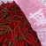 贵州安顺小米椒大量现货供应