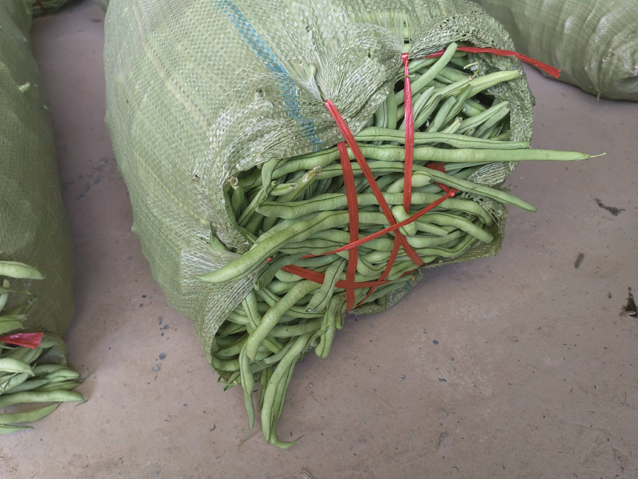 新鲜豆角选购技巧图