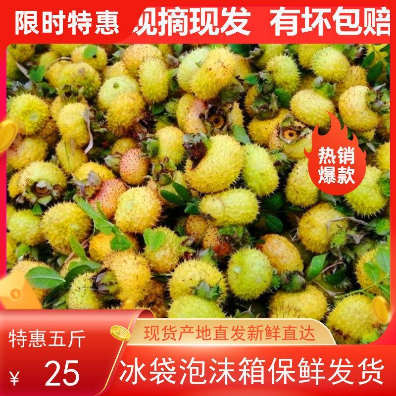 贵州刺梨维C孕妇水果现摘泡酒泡茶新鲜刺梨果原产地