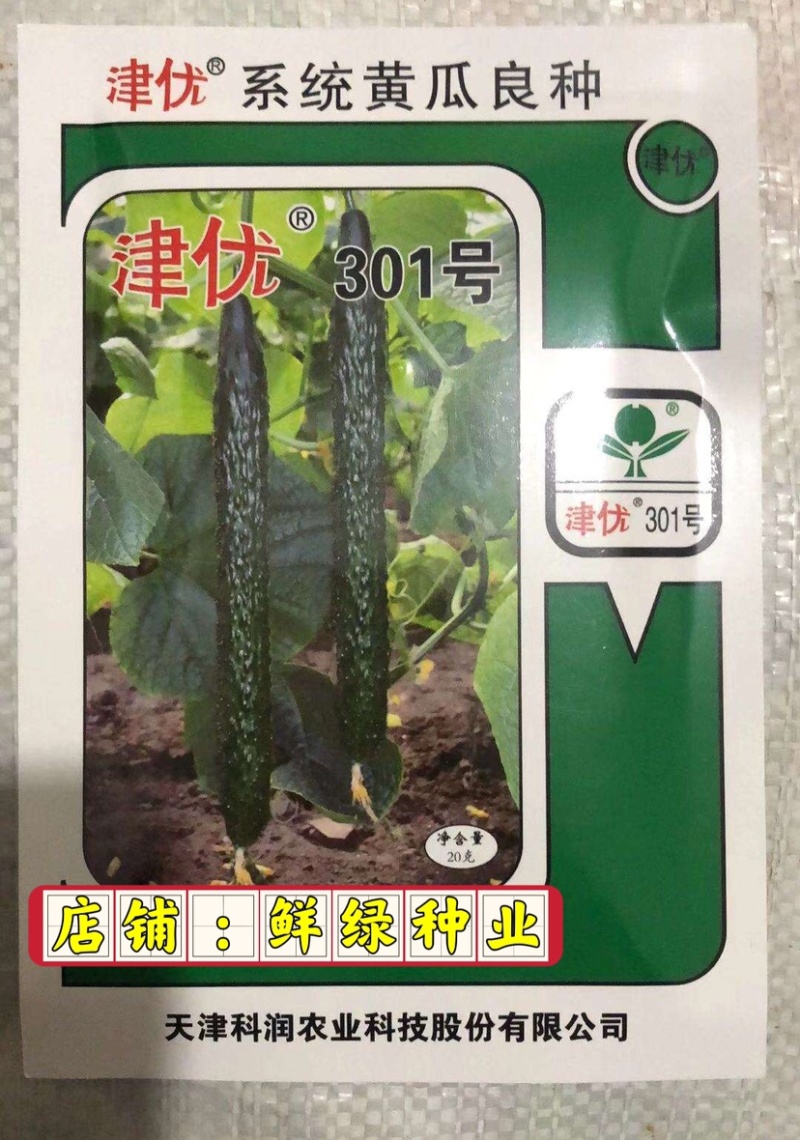 津优301早熟，把短有光泽耐低温弱光适温室大棚及早春大棚