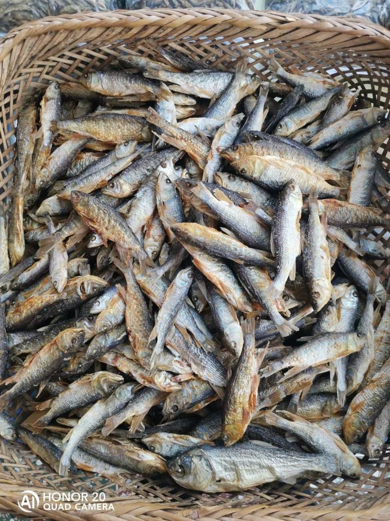 南方马口鱼，马口鱼鱼干，马口鱼冻品