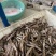 棍子鱼船丁鱼沙勾鱼棍子鱼干棍子鱼江西棍子鱼湖南