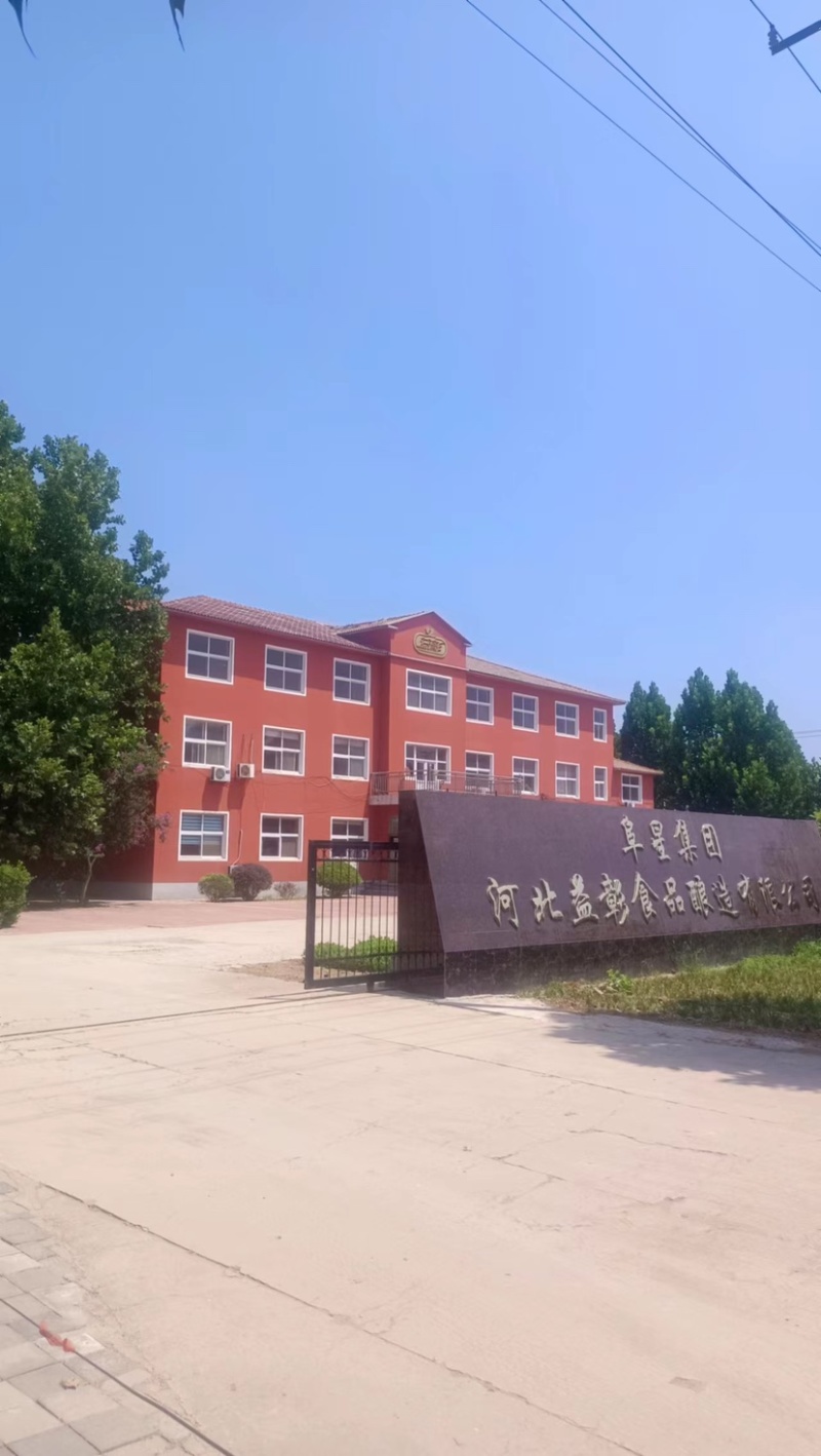 河北衡水阜城县高梁大量上市种植生产加工一体化企业直发质量