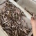 棍子鱼船丁鱼沙勾鱼棍子鱼干棍子鱼江西棍子鱼湖南