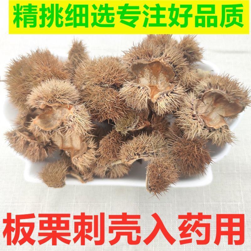 板栗蓬带刺板栗球栗刺壳风栗壳板粟刺粟子刺壳晒干迁西栗子刺