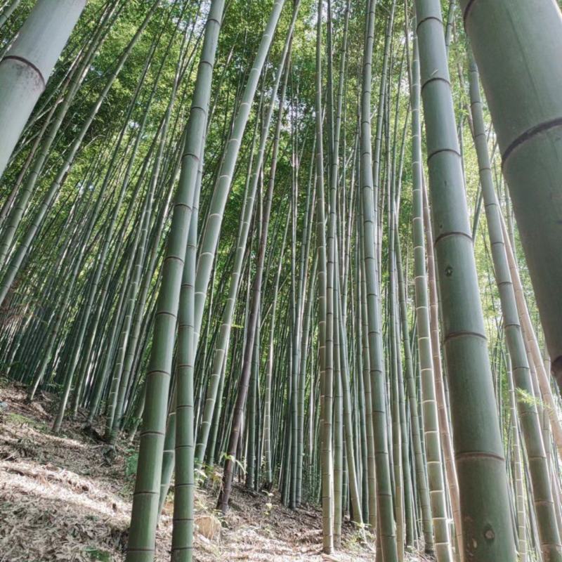 正在装车中