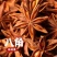 新货广西八角茴香正宗产地直供八角大料香料卤味料特价大茴香