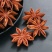 新货广西八角茴香正宗产地直供八角大料香料卤味料特价大茴香