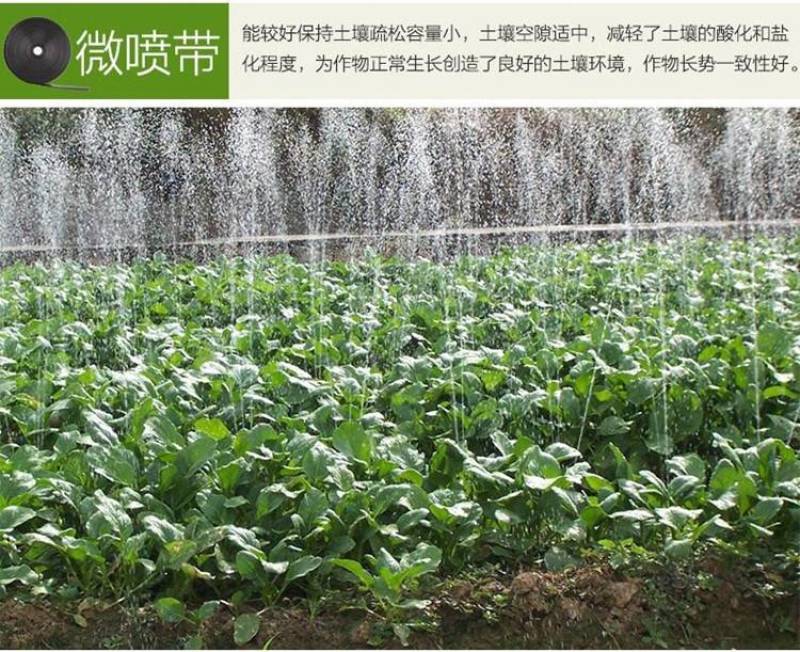 【生产厂家】水带多孔水带喷水带喷幅2--8米均匀灌