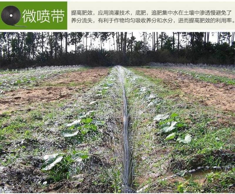 【生产厂家】水带多孔水带喷水带喷幅2--8米均匀灌