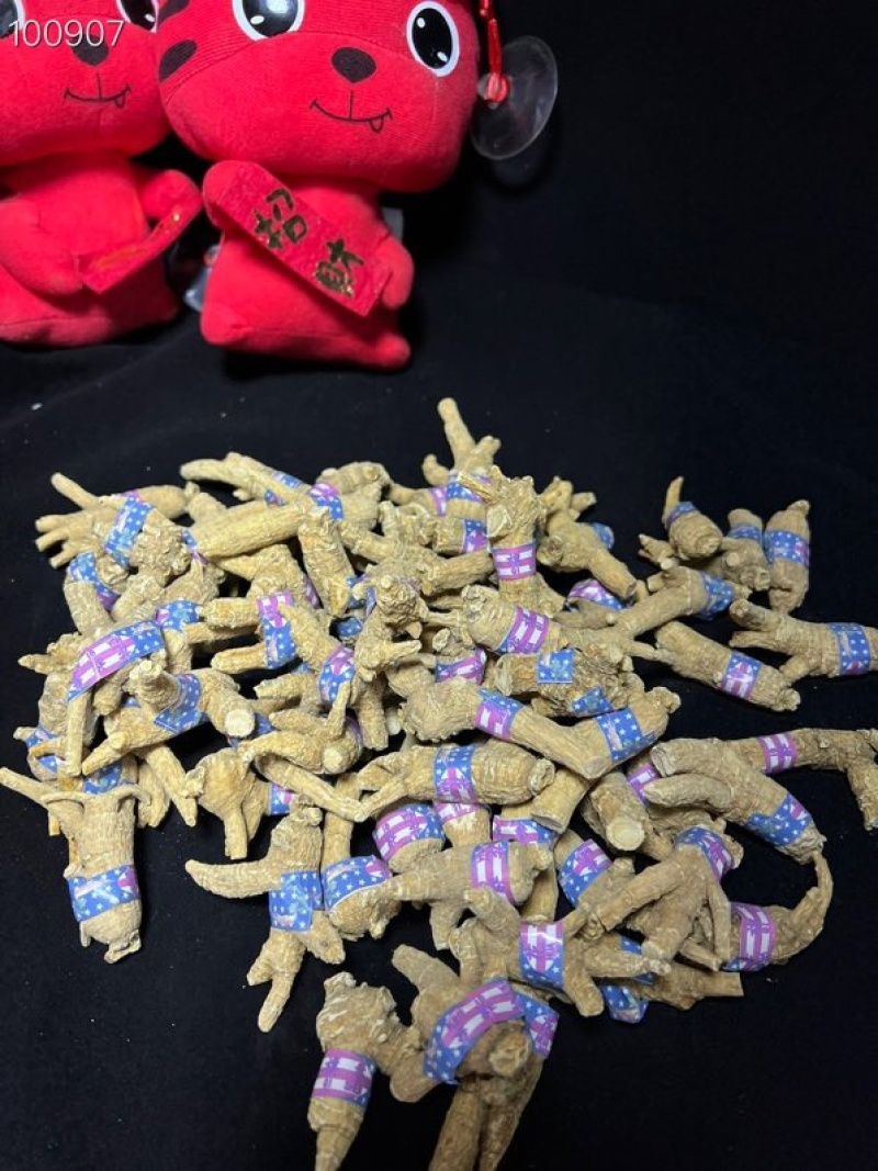 加拿大进口花旗参西洋参片原枞大量批发500克