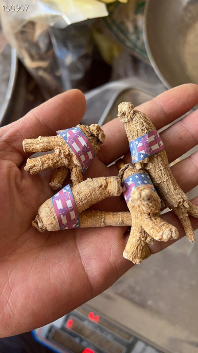 加拿大进口花旗参西洋参片原枞大量批发500克