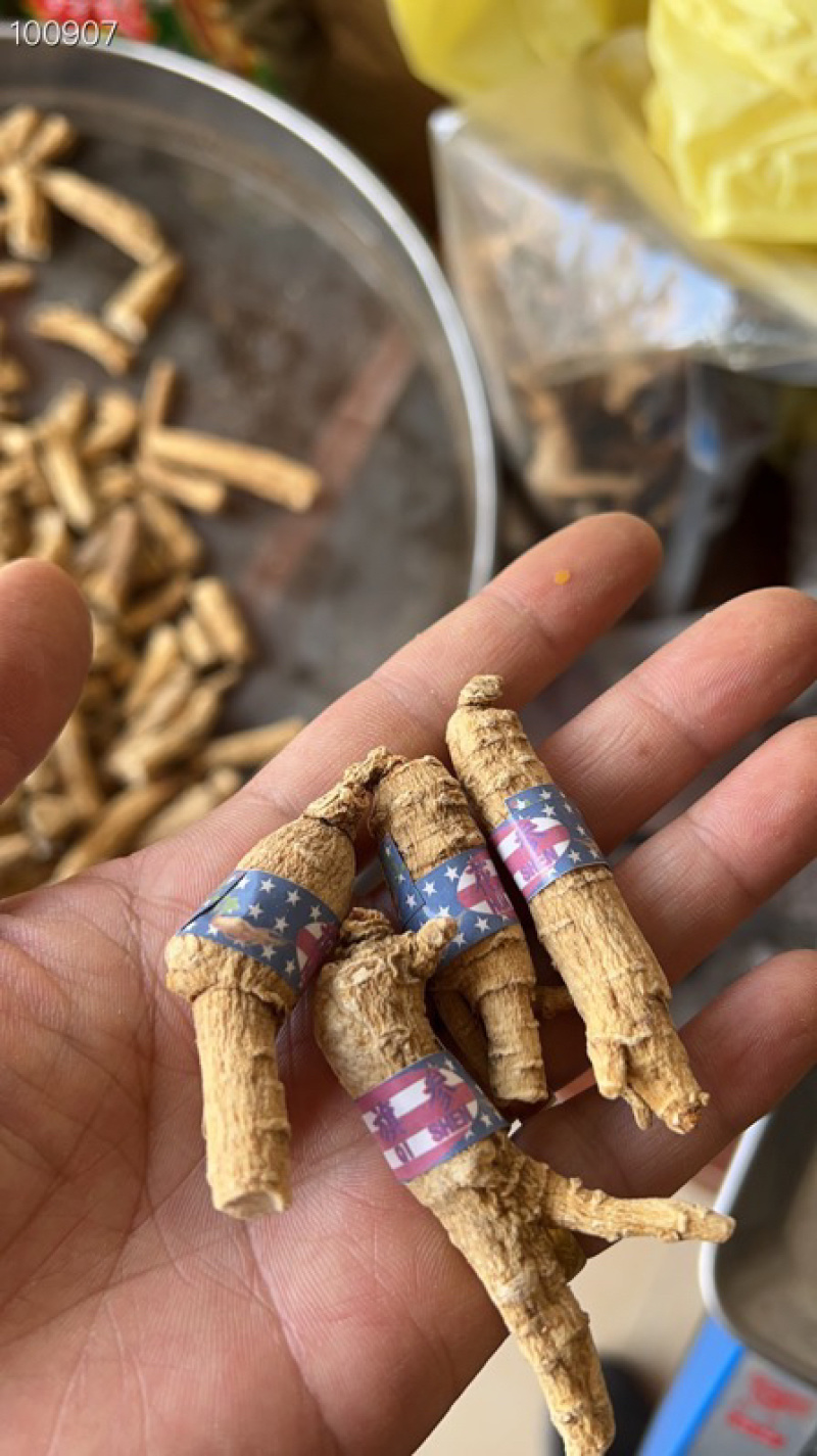 加拿大进口花旗参西洋参片原枞大量批发500克