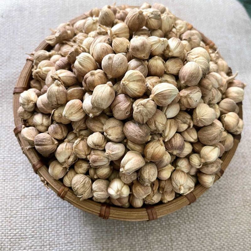 白蔻白豆蔻白扣白寇香料白扣白蔻白蔻全干调料