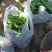 ***********一千斤五十辛苦费