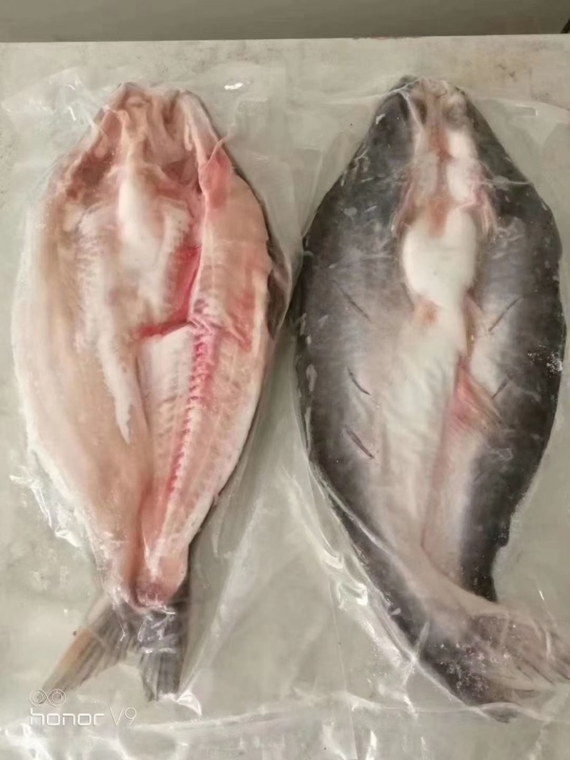 进口开背巴沙鱼腌制湄公鱼纸包鱼专用冷冻半成品20条一箱